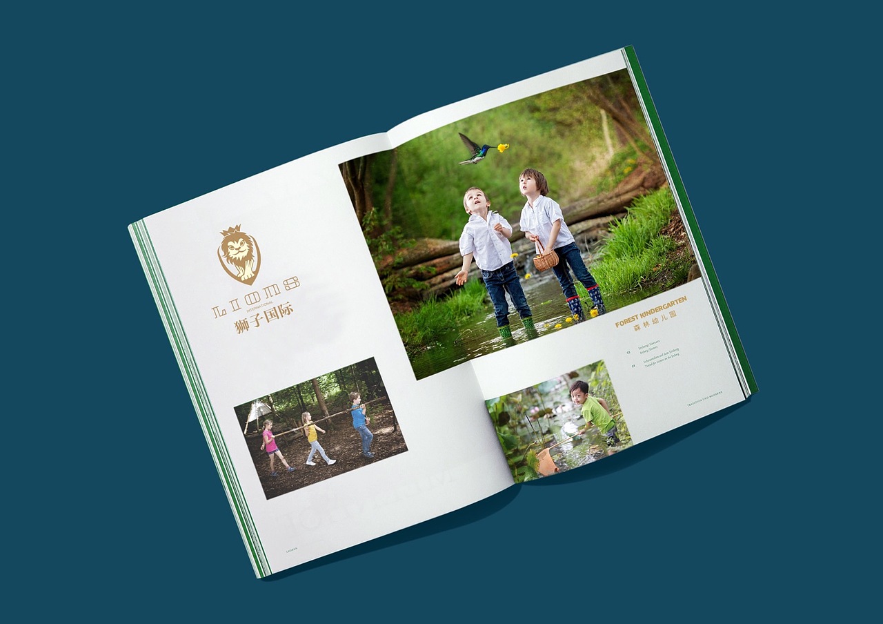 狮子国际森林幼儿园品牌设计
