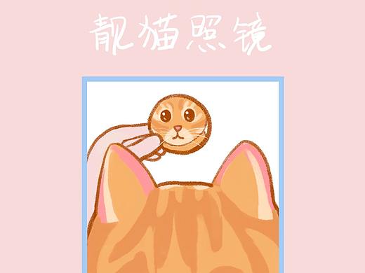 会有猫的
