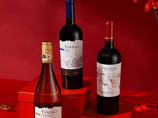 葡萄酒静物作品