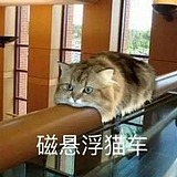 猫罗地亚狂想曲丶的头像