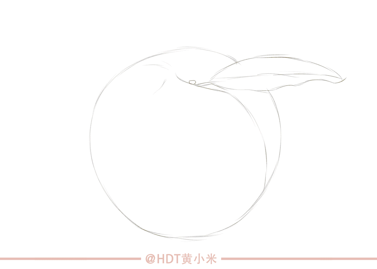 一组噪点写实风格水果插画