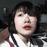 小菜鸟ZH的头像