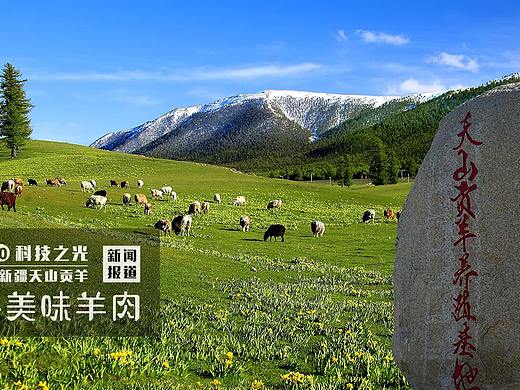 羊肉加盟——天山贡羊