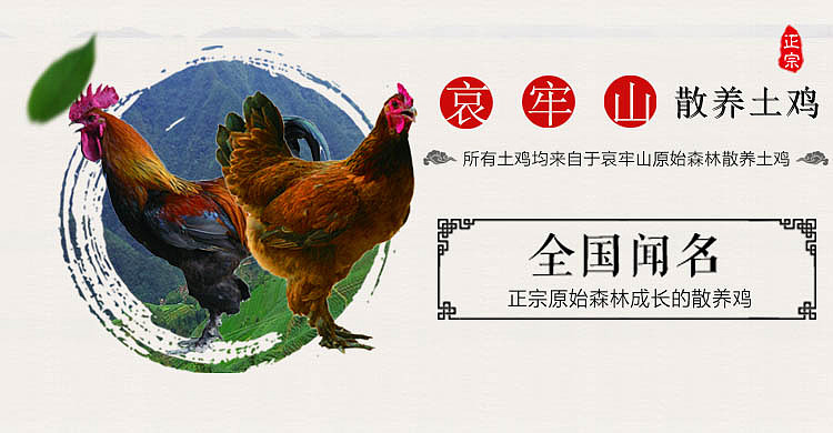 商城Banner（图ZMTE4MDE0NTIw） - 图案 - 站酷设计师Ruiwan_原创素材 - 站酷ZCOOL