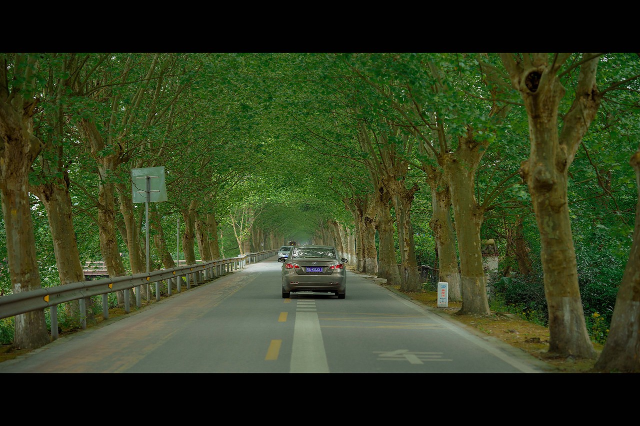 成都周末时光（图ZMjUwNDEwODYw） - 人像摄影 - 站酷设计师鱼游梦境原创素材 - 站酷ZCOOL