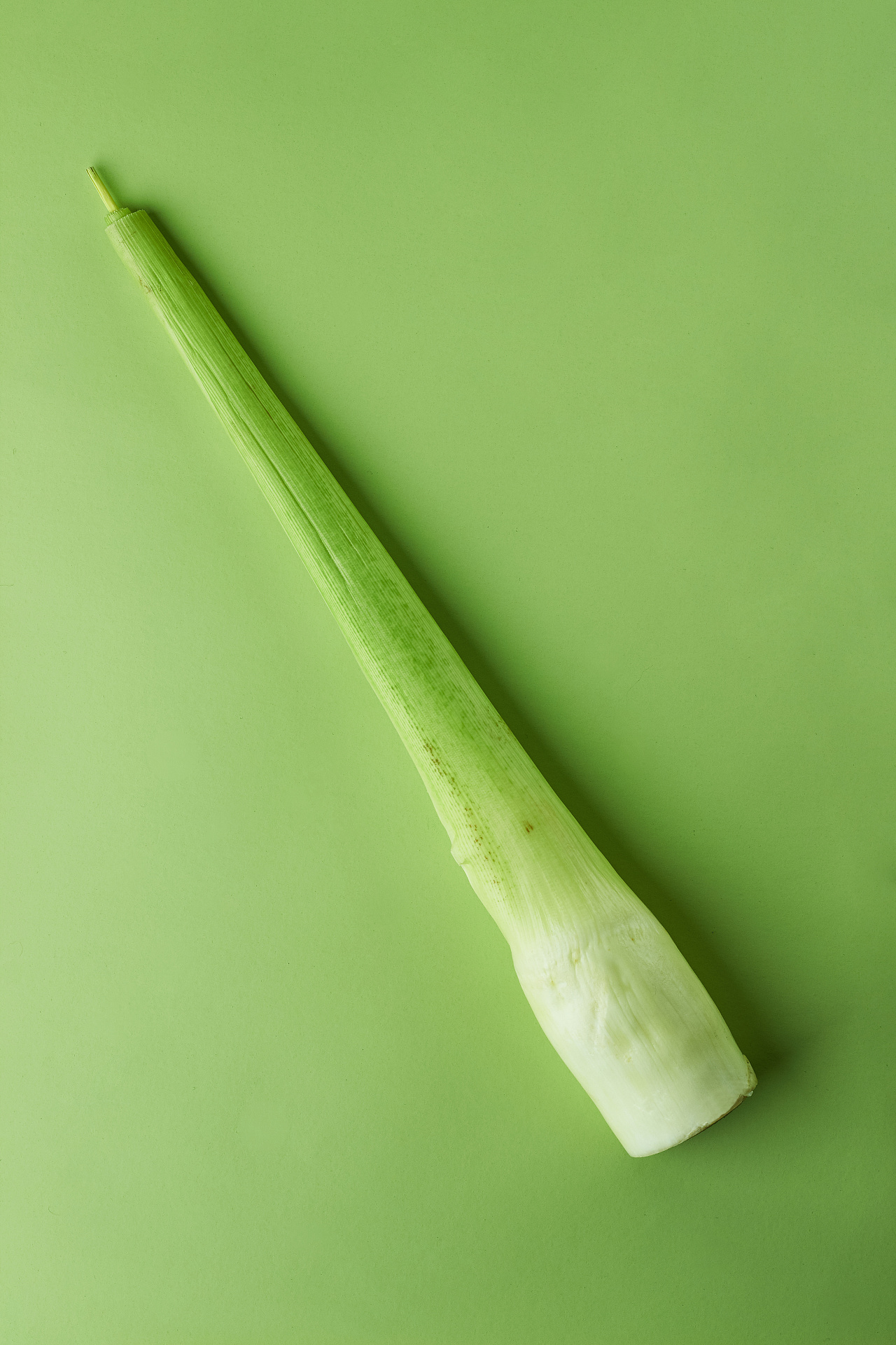 白底蔬菜新鲜蔬菜茭白几根茭白一侧蔬菜图片下载 - 觅知网