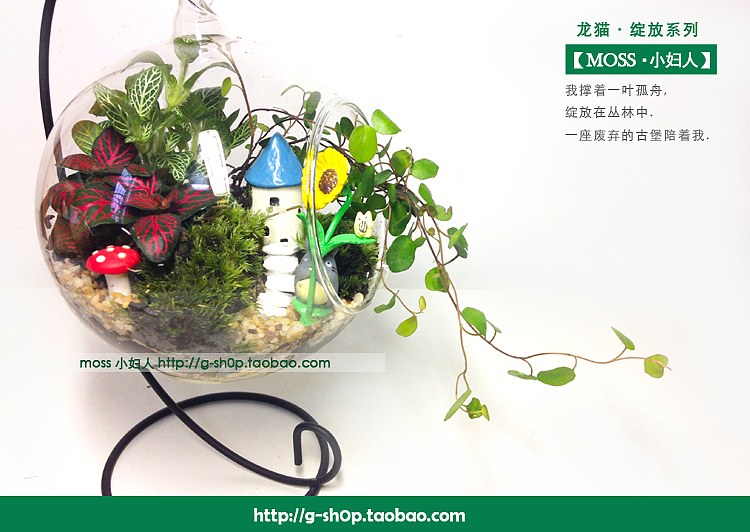 一盆小森林（图ZMjU0NTAyNzY=） - 其他手工艺 - 站酷设计师o0azhu0o原创素材 - 站酷ZCOOL