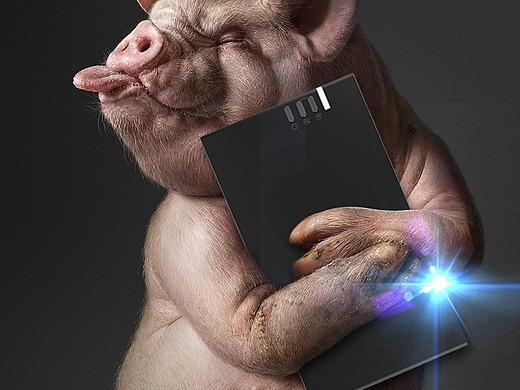 高点击直通车图 直通车图 神图