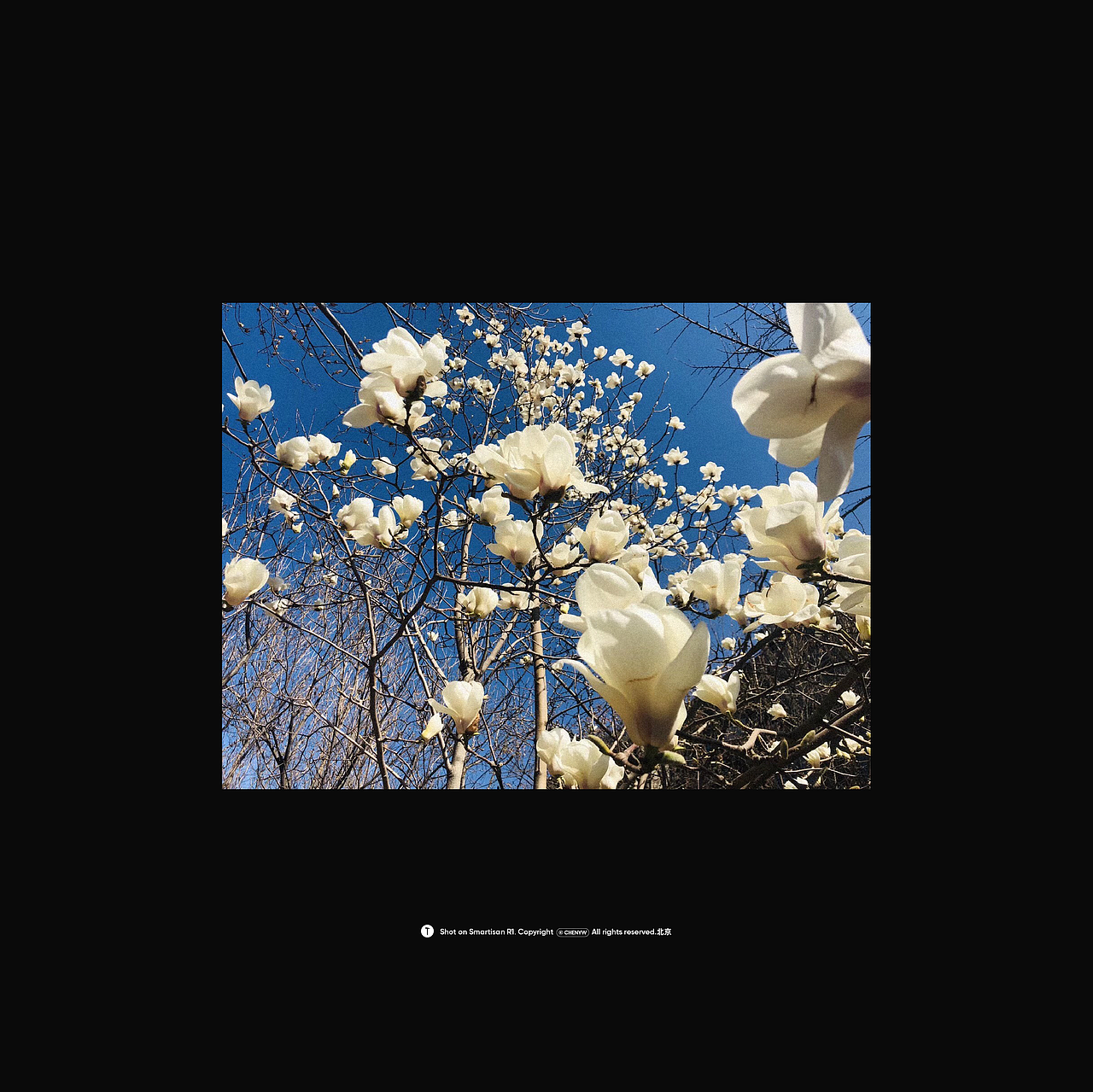 手机摄影集｜相机胶卷整理 Part.1（图ZMjEzMTM0MjEy） - 人文/纪实摄影 - 站酷设计师d7nw9c原创素材 - 站酷ZCOOL