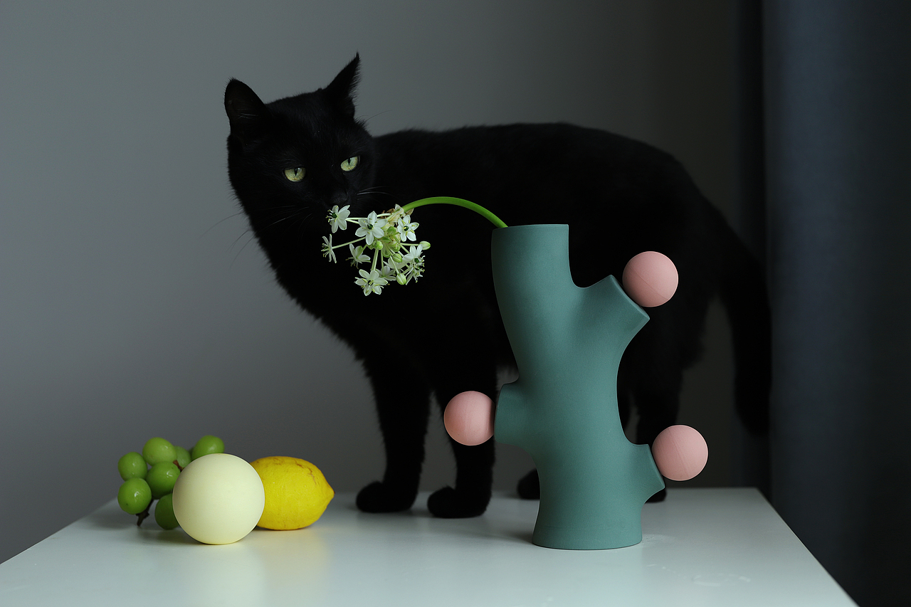 鹿角 / 树（图ZMjIxMTE4NjQw） - 产品摄影 - 站酷设计师煤球球的猫尾巴原创素材 - 站酷ZCOOL