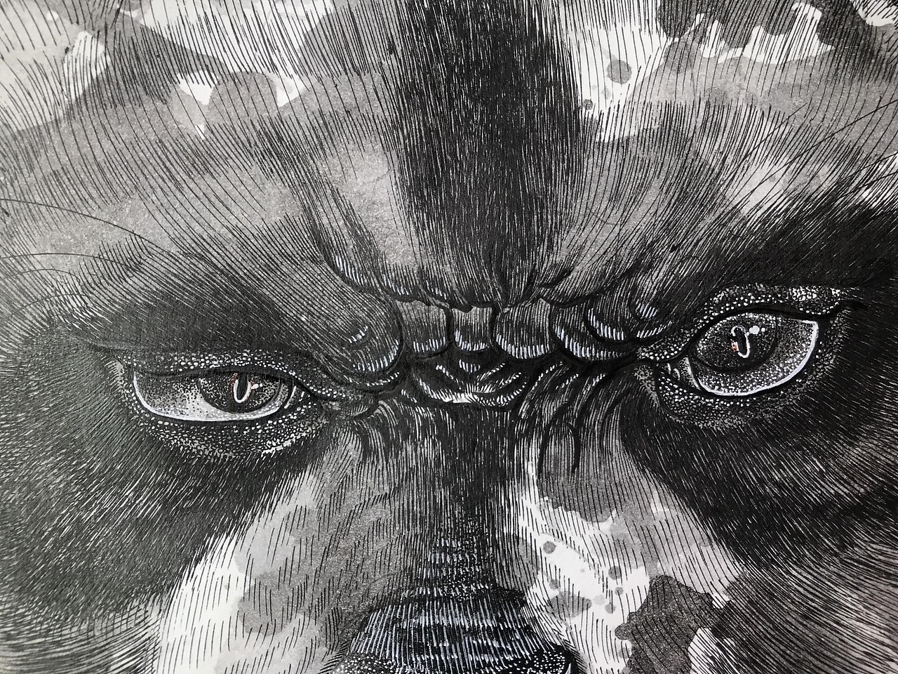 2020山海经异兽系列插画合集总结