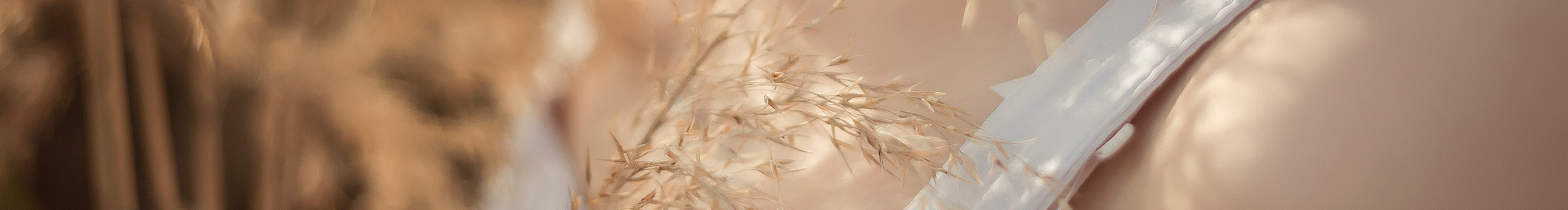 阿雪啦的個(gè)人主頁（封面預(yù)覽） - 主頁封面設(shè)置 - 站酷設(shè)計(jì)師阿雪啦原創(chuàng)素材 - 站酷ZCOOL