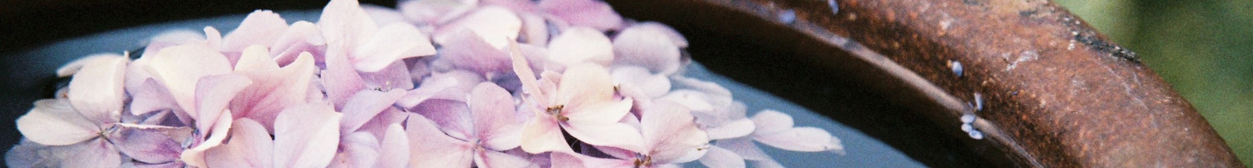 云間眠的個人主頁（封面預(yù)覽） - 主頁封面設(shè)置 - 站酷設(shè)計師云間眠原創(chuàng)素材 - 站酷ZCOOL