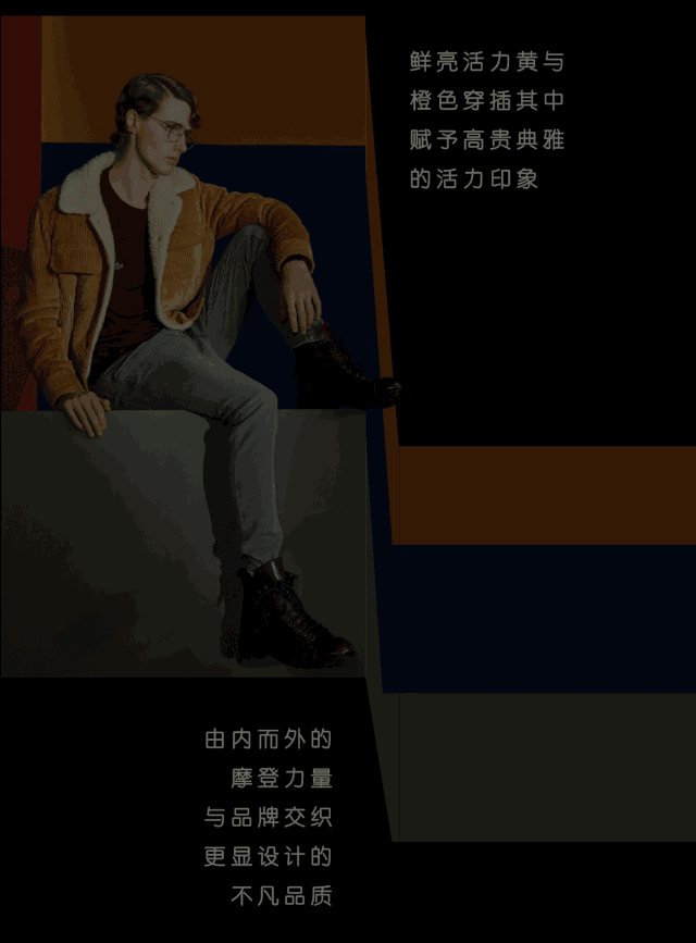 CARTELO 新品二版