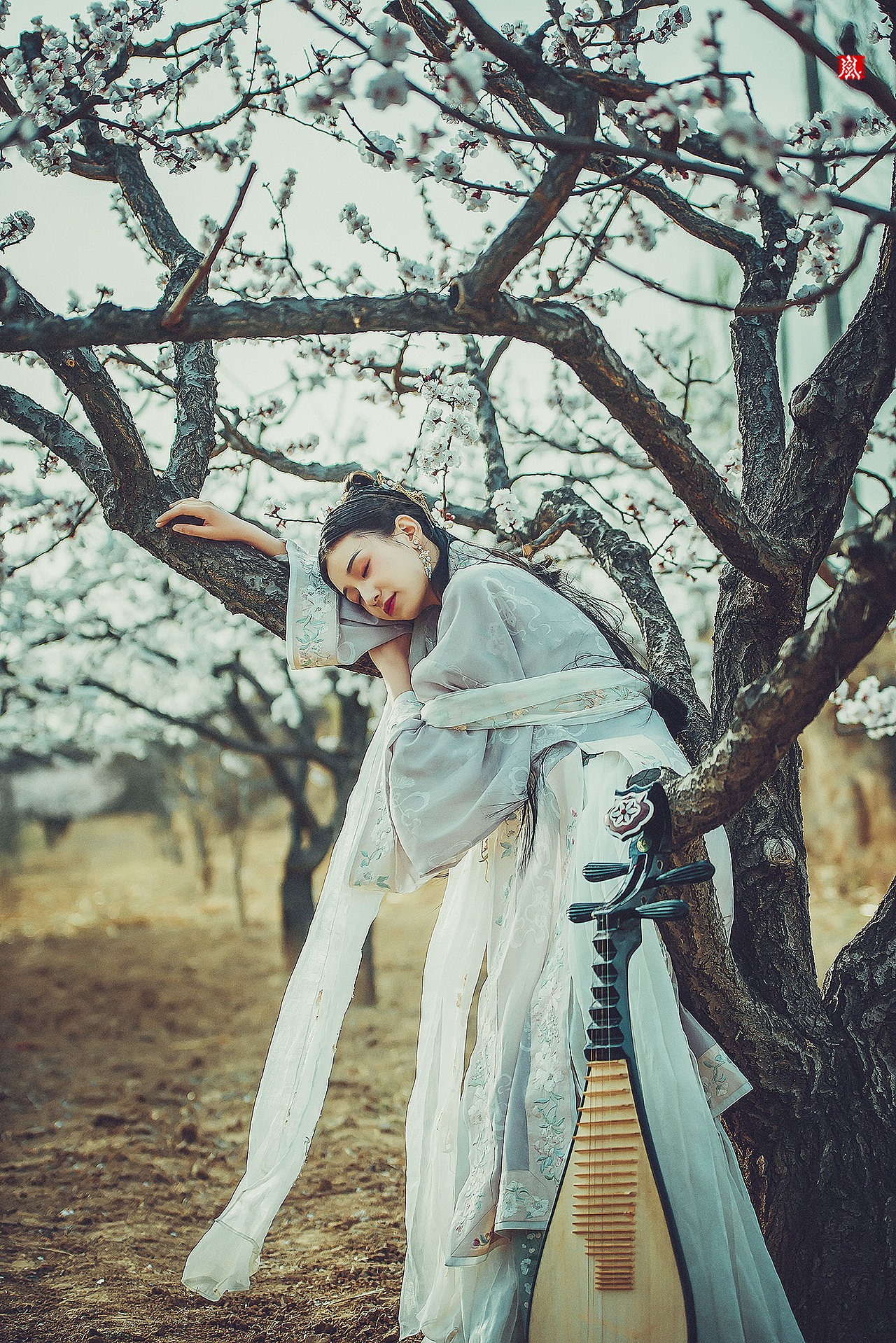 观书题记（图ZMTI1MTQwNDE2） - 人像摄影 - 站酷设计师摄影师林岚原创素材 - 站酷ZCOOL