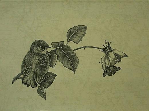 我画的【百鸟绘】之一（个人主页-ZNDg1OTk0NDg=） - 绘画 - 站酷设计师6黄柱成9原创素材 - 站酷ZCOOL