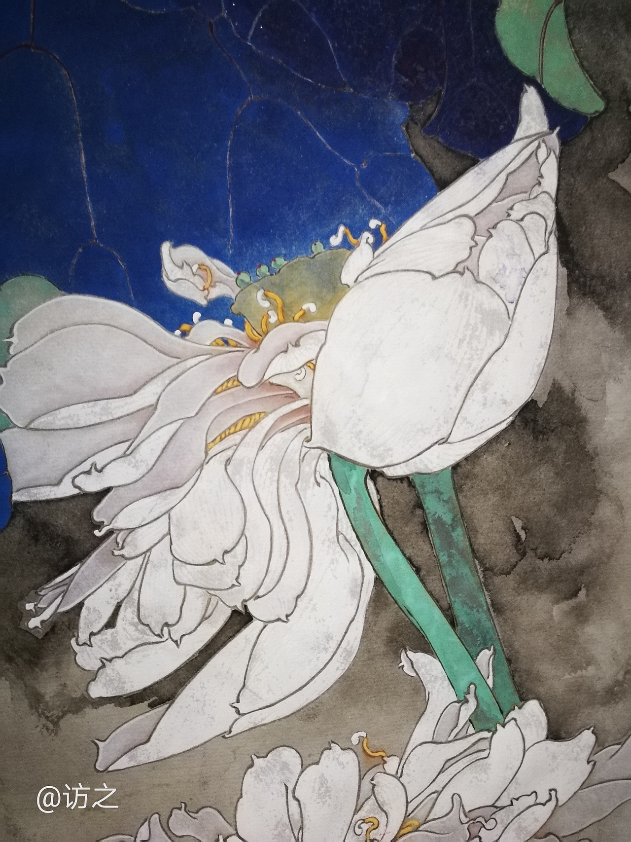 落花比汝尚多情（圖ZMjA5NTEyMTcy） - 繪畫(huà) - 站酷設(shè)計(jì)師訪之原創(chuàng)素材 - 站酷ZCOOL