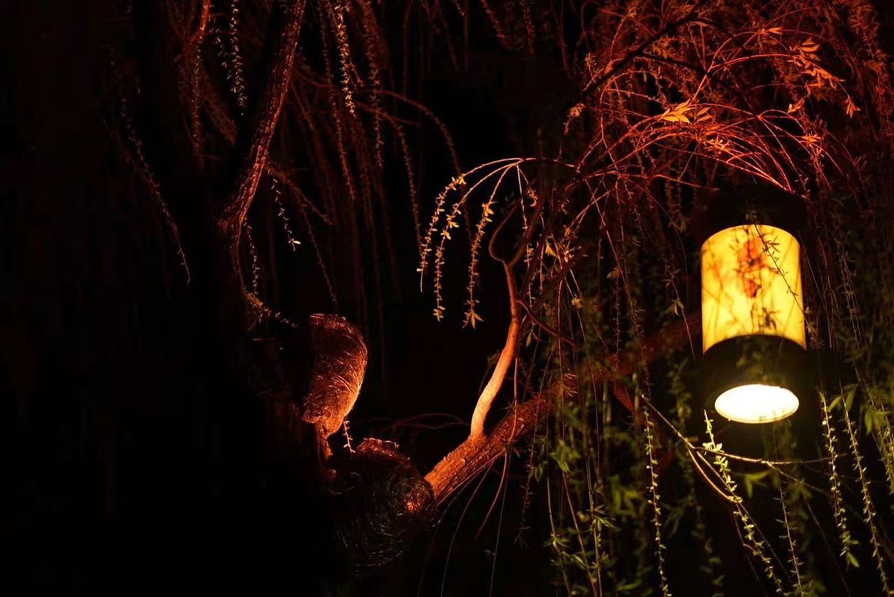 济南大明湖夜景