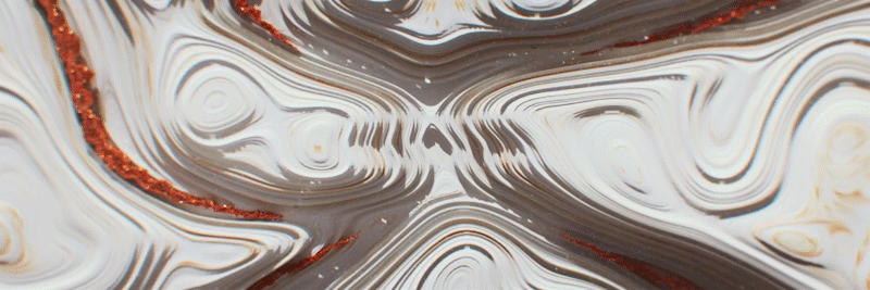 网易海发品牌部2019日本市场分享会