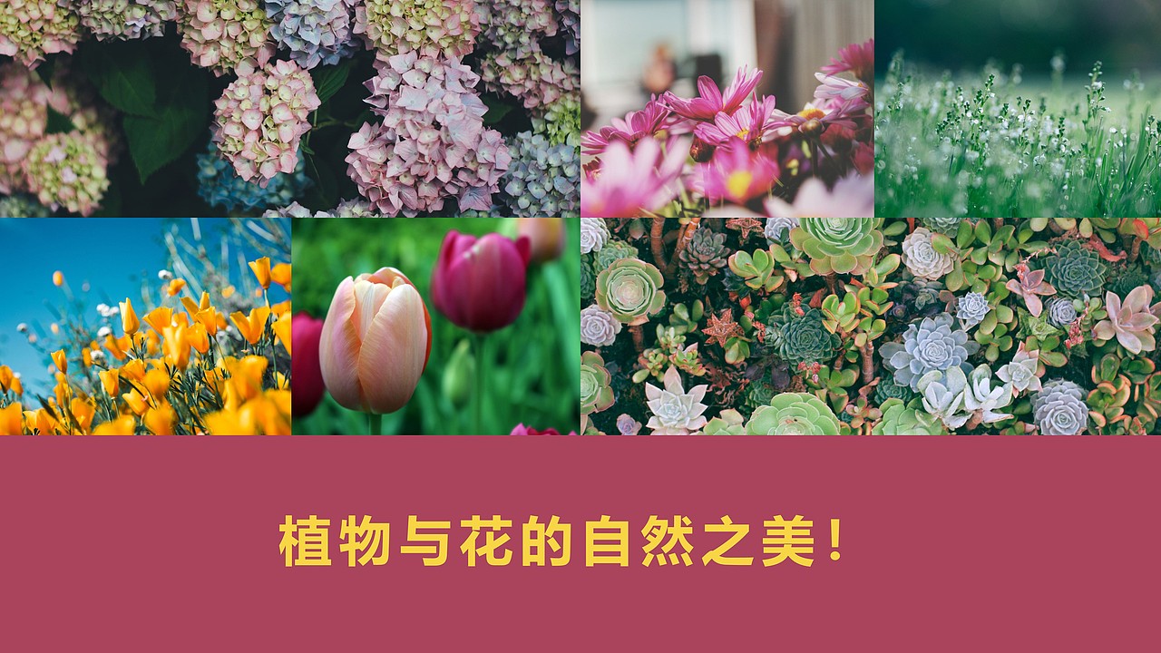PPT设计 植物与花（图ZMTY3MDc4MTUy） - PPT/Keynote - 站酷设计师遇暖如春原创素材 - 站酷ZCOOL