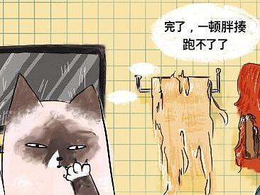 公众号封面