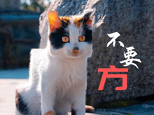 不方