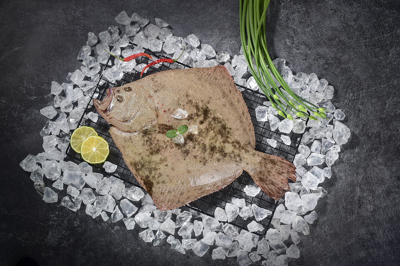 2021年5-2021年7月海鲜拍摄