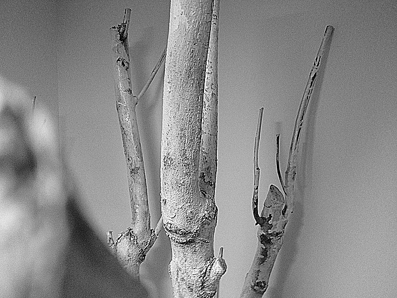 上良设计-工作室光影形象墙