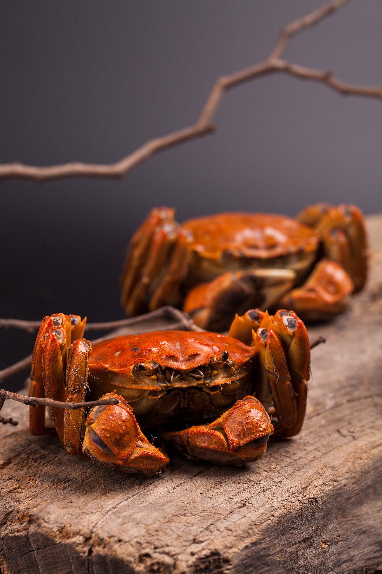 阳澄湖大闸蟹-拍摄:clapper:篇