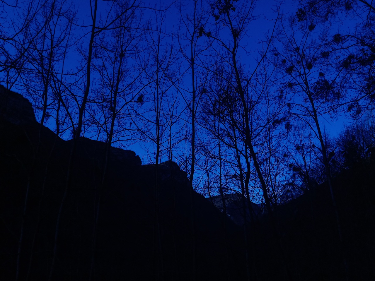 现在这个样的世界已经很少有这样的风景了