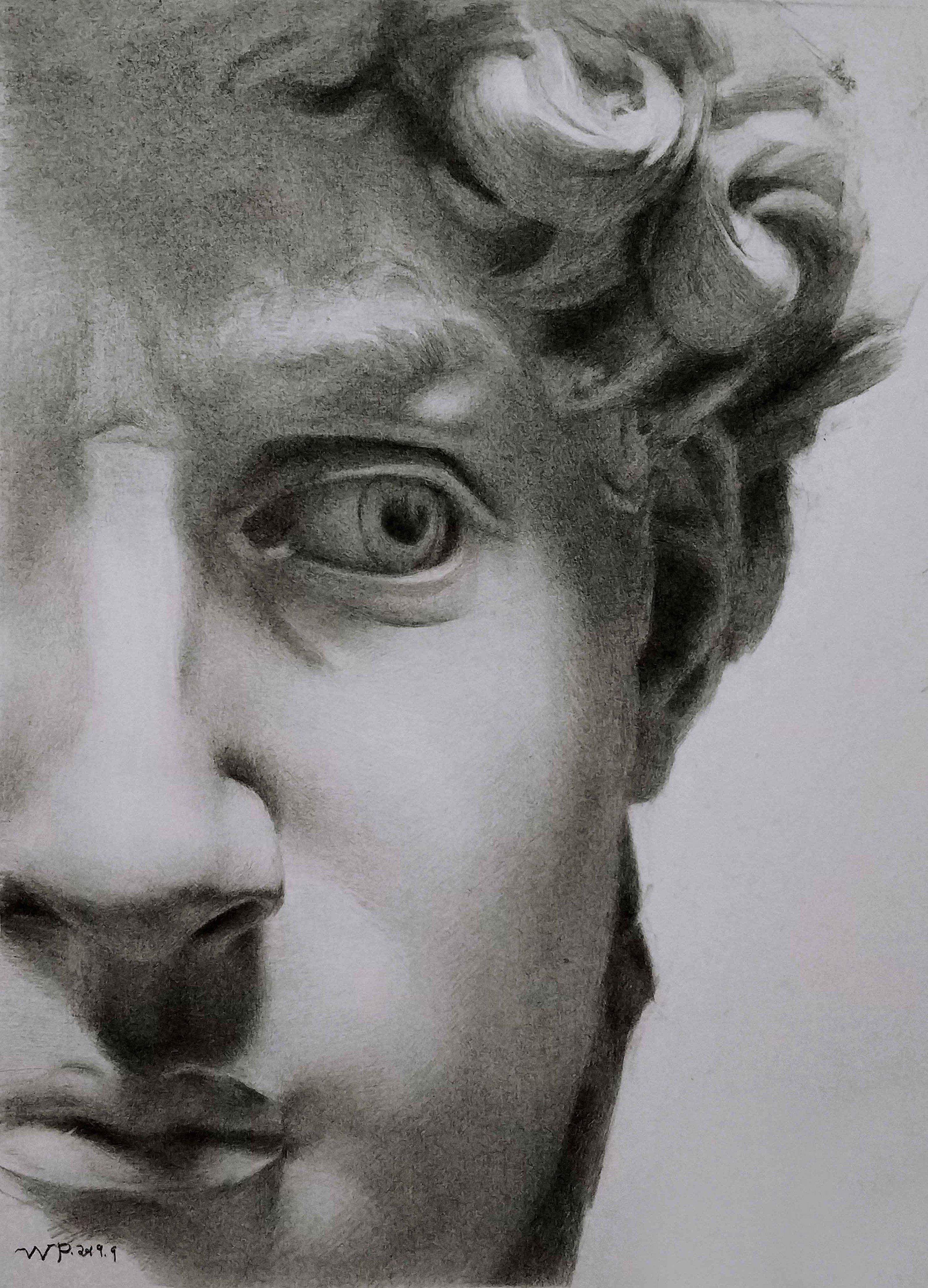 八月·大卫|纯艺术|素描|寻真求美 - 原创作品 - 站酷 (zcool)