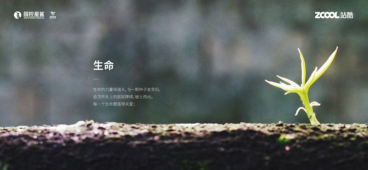 【凭星而来 鲨耀新生】国控星鲨LOGO升级及70周年徽标（图ZMjk3MDg4MzY0） - Logo - 站酷设计师一颦淺笑原创素材 - 站酷ZCOOL