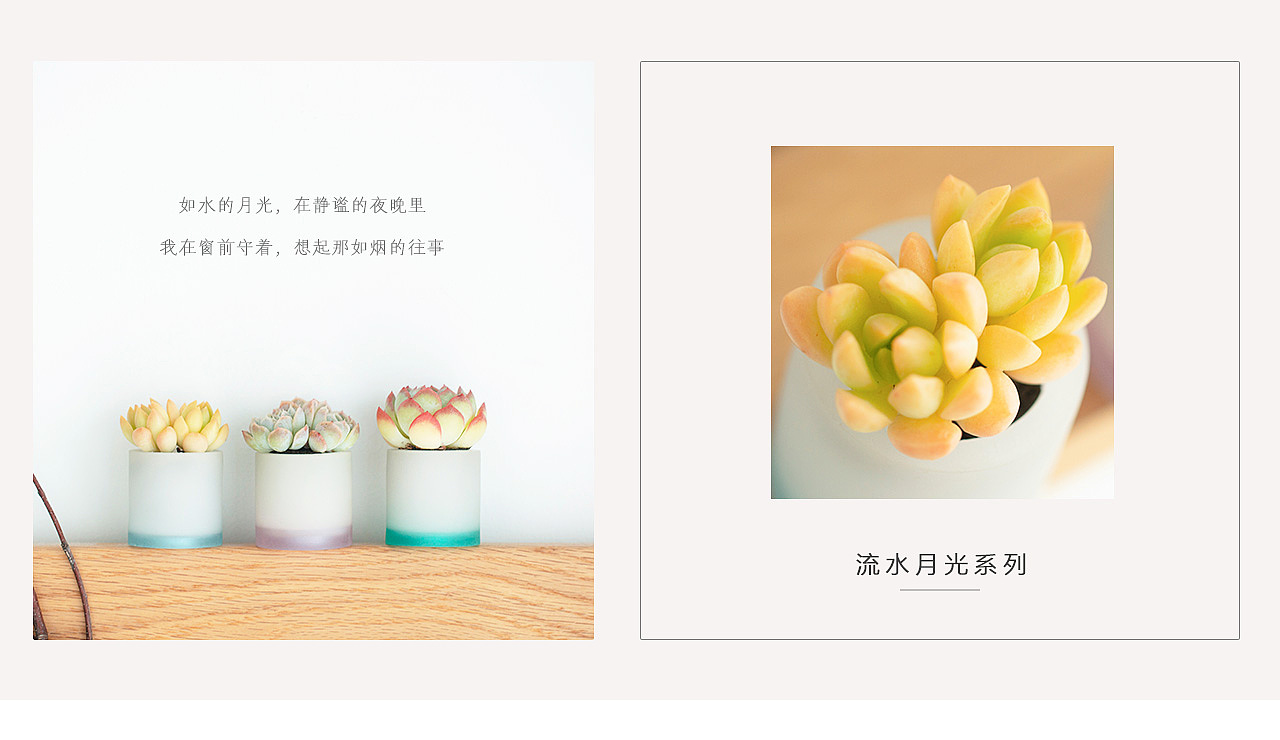 三款INS风家居无土栽培多肉植物-产品摄影（图ZMTMzNTk2MzY4） - 产品摄影 - 站酷设计师Pazza大安原创素材 - 站酷ZCOOL