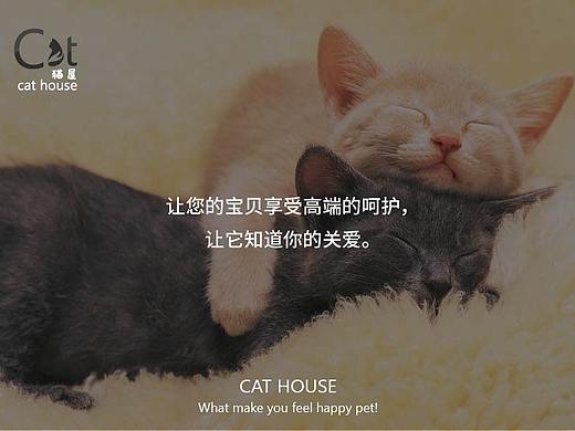 Cat house