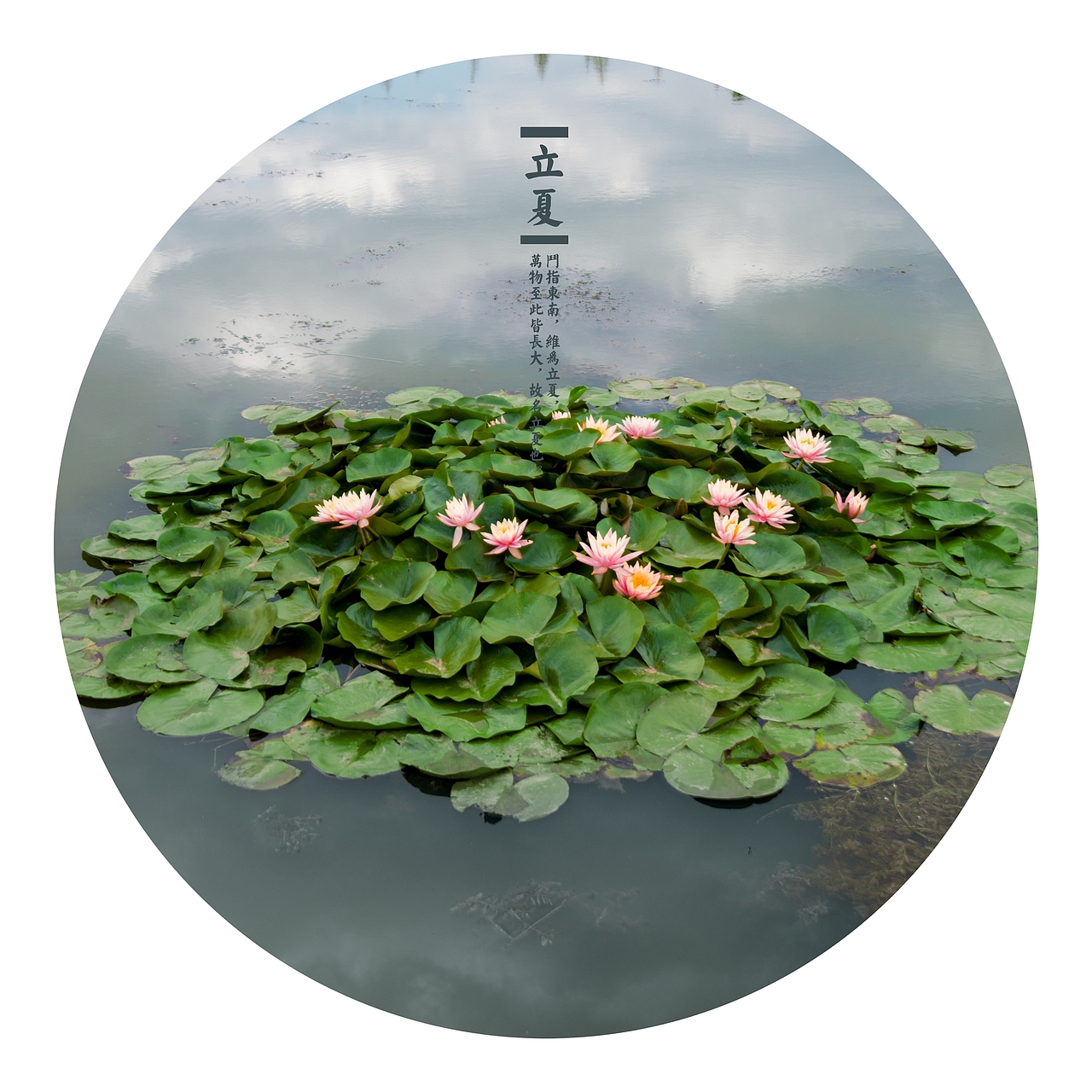 伍月初:立夏