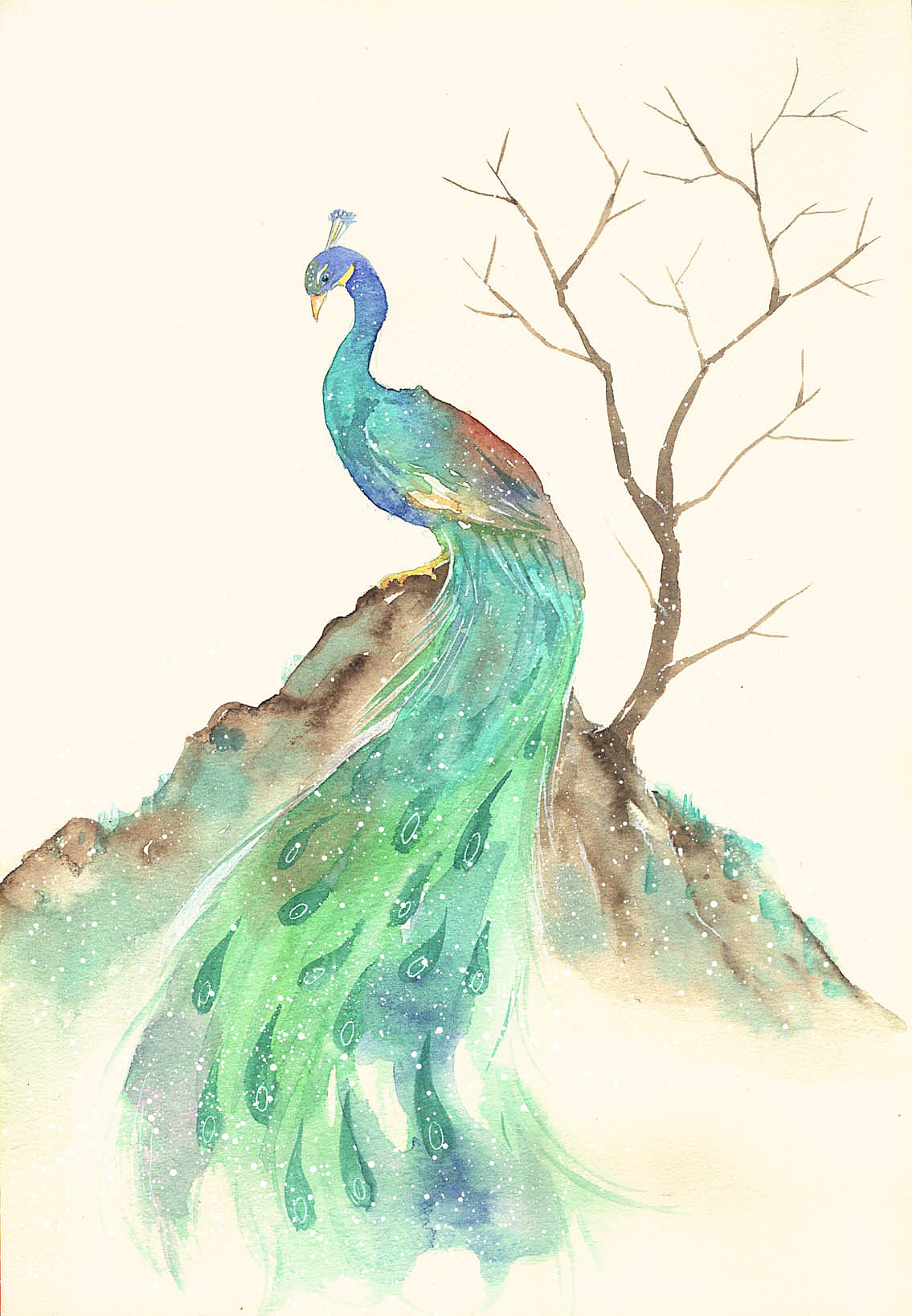 小孔雀|插画|艺术插画|慢半拍啊 - 原创作品 - 站酷 (zcool)