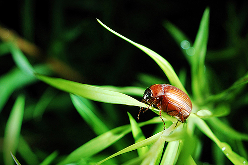大大世界,小小生命
