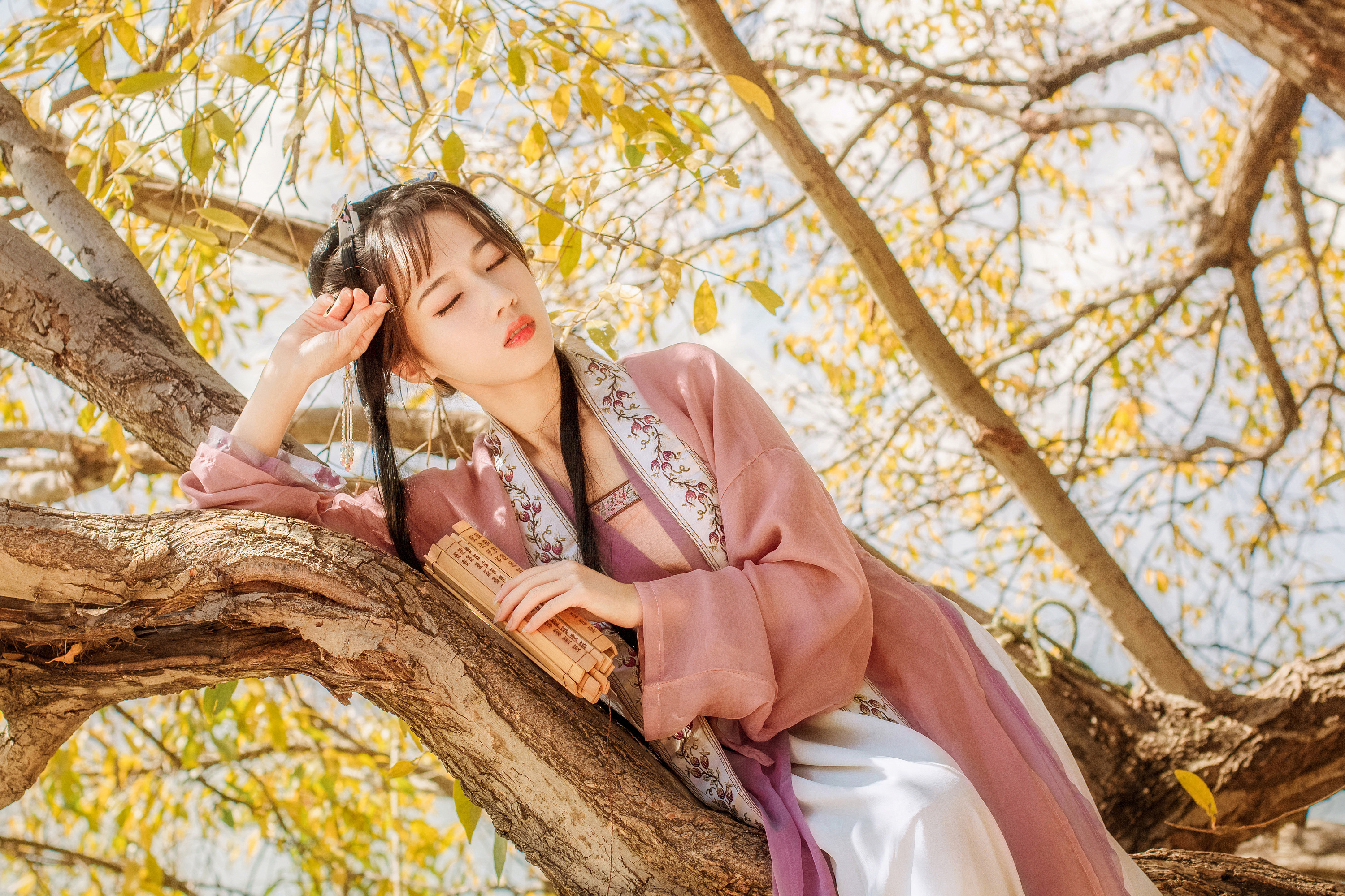 巧笑倩兮 美目盼兮