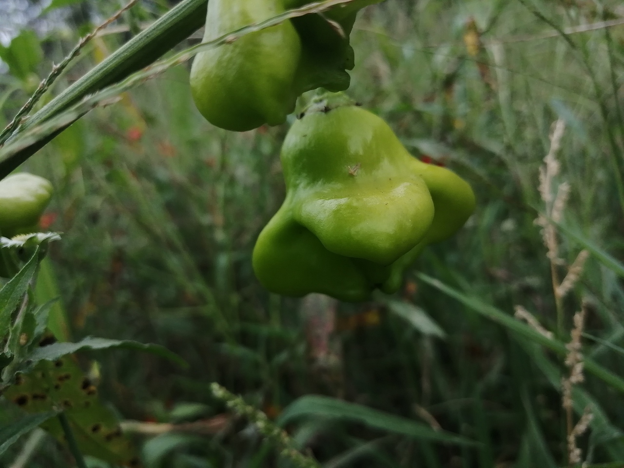 流年浮生（圖ZMjA0Mzk5MTQw） - 環(huán)境/建筑攝影 - 站酷設(shè)計(jì)師A玖熙原創(chuàng)素材 - 站酷ZCOOL