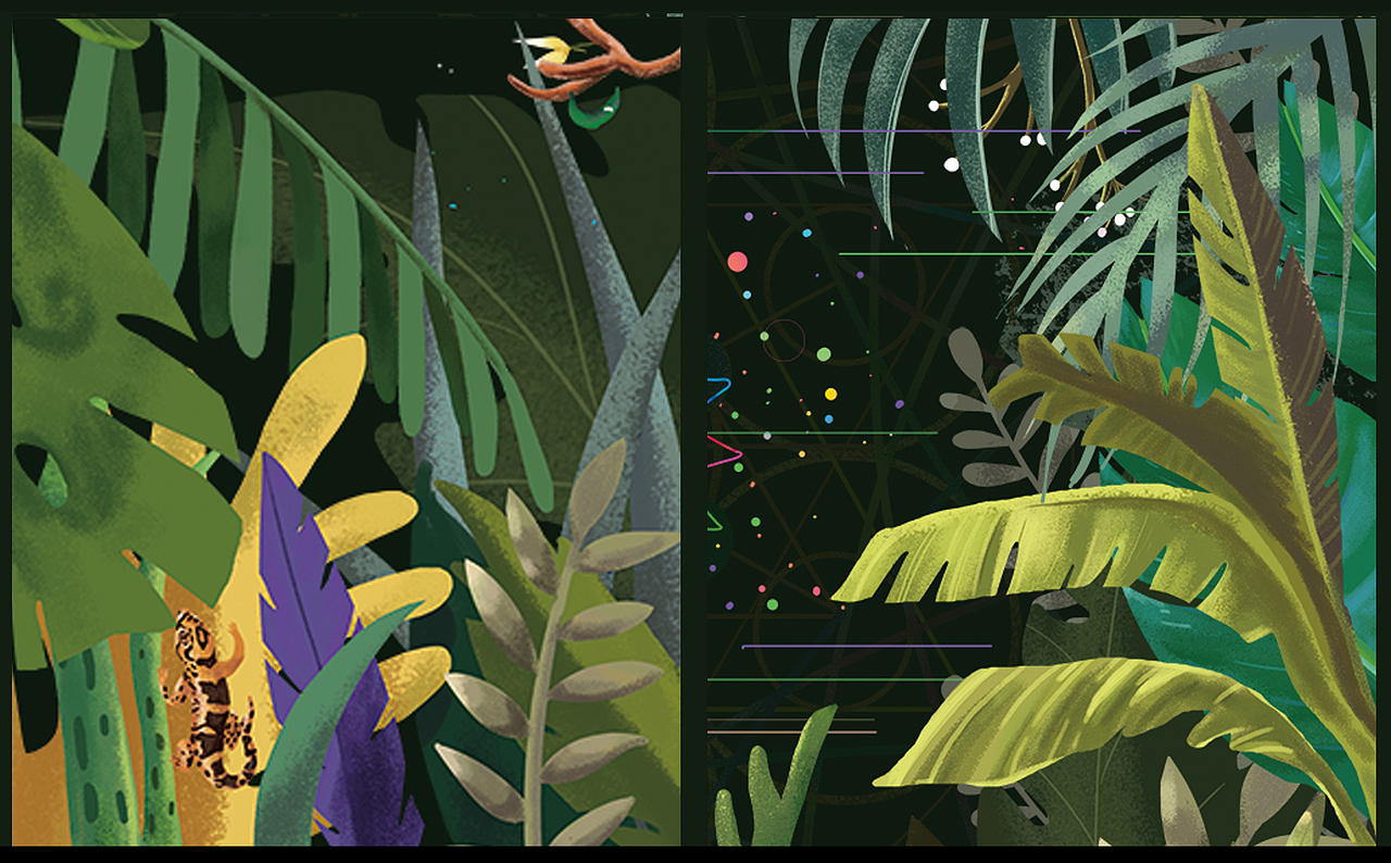 森林的秘密—生命之花