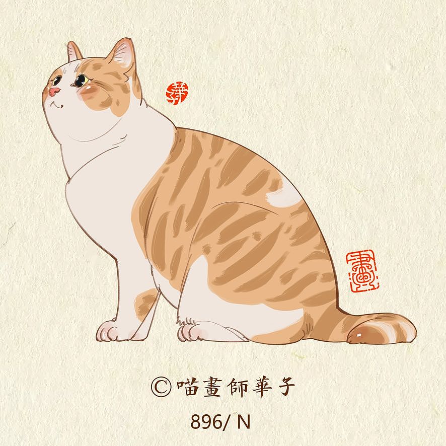 画猫的第三季250天,937天的画猫纪录