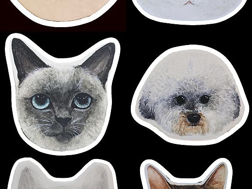 猫猫狗狗大定制