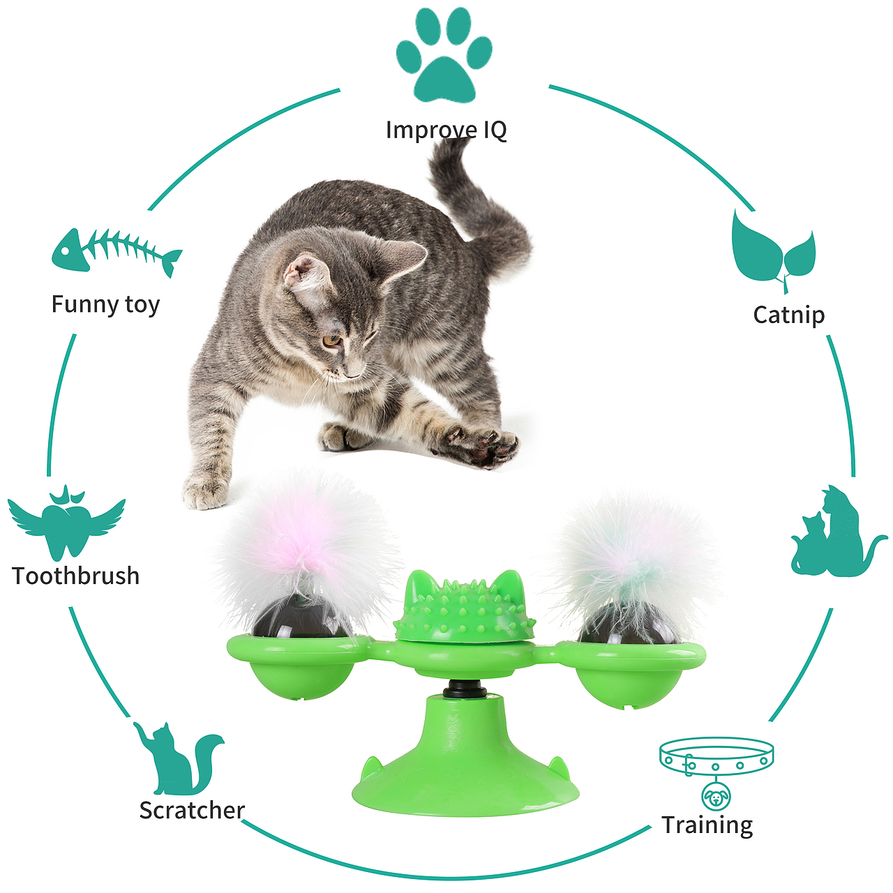 淘宝亚马逊产品拍摄A+商品主图设计视频拍摄宠物用品