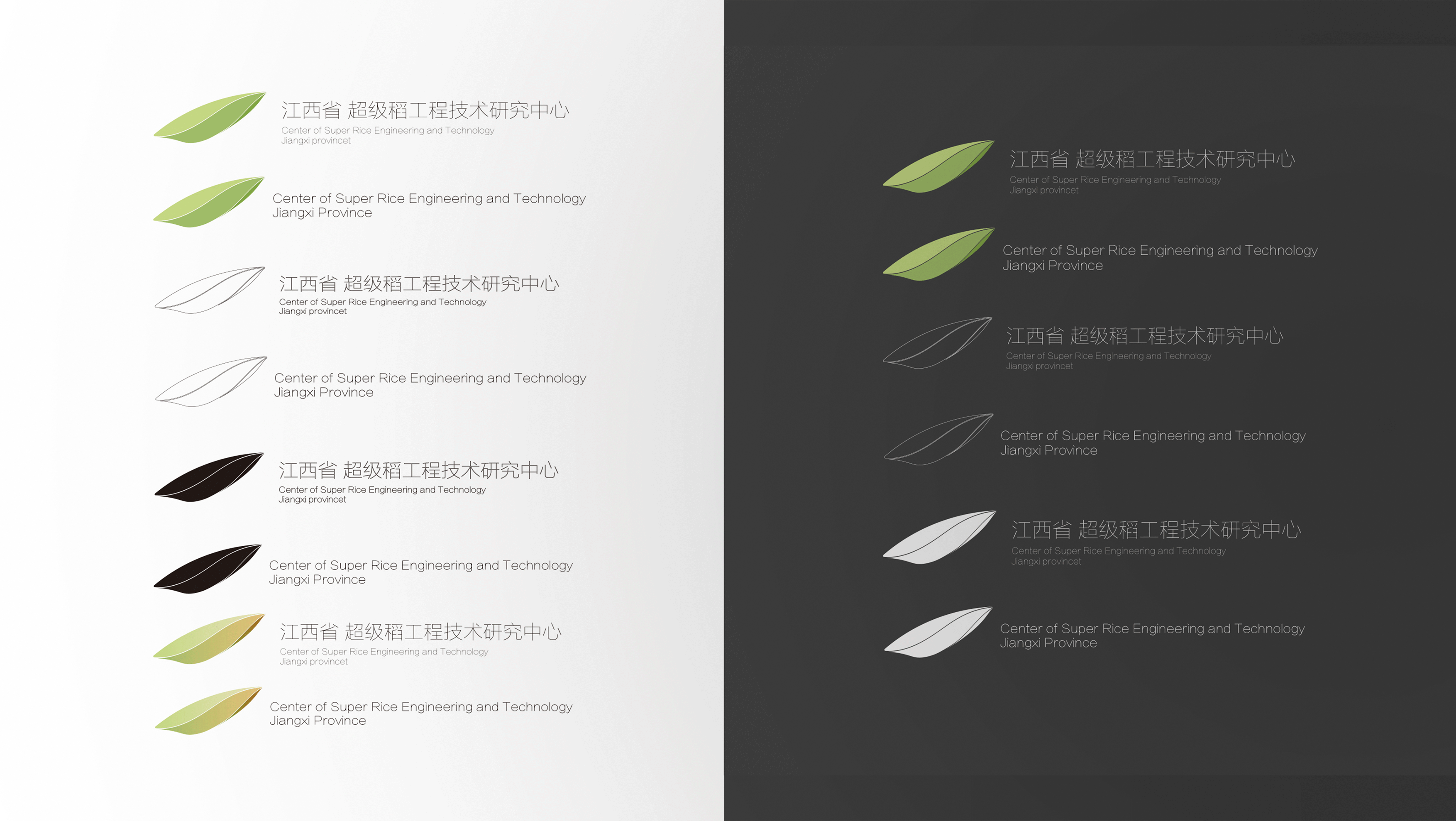 超级稻视觉系统