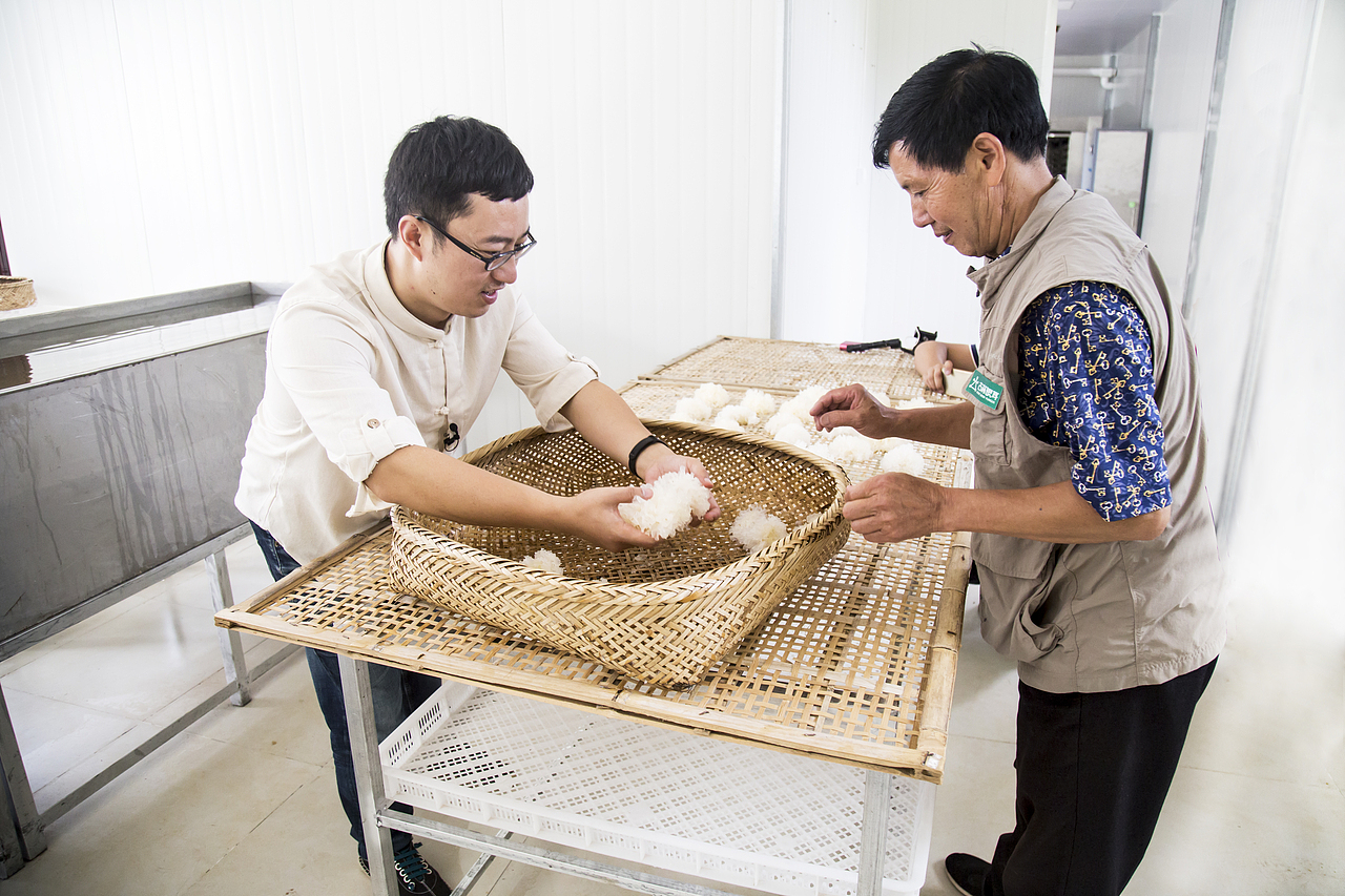 小刚老师 通江古林银耳（图ZNjk3NjA3NjQ=） - 人像摄影 - 站酷设计师芳华四月原创素材 - 站酷ZCOOL