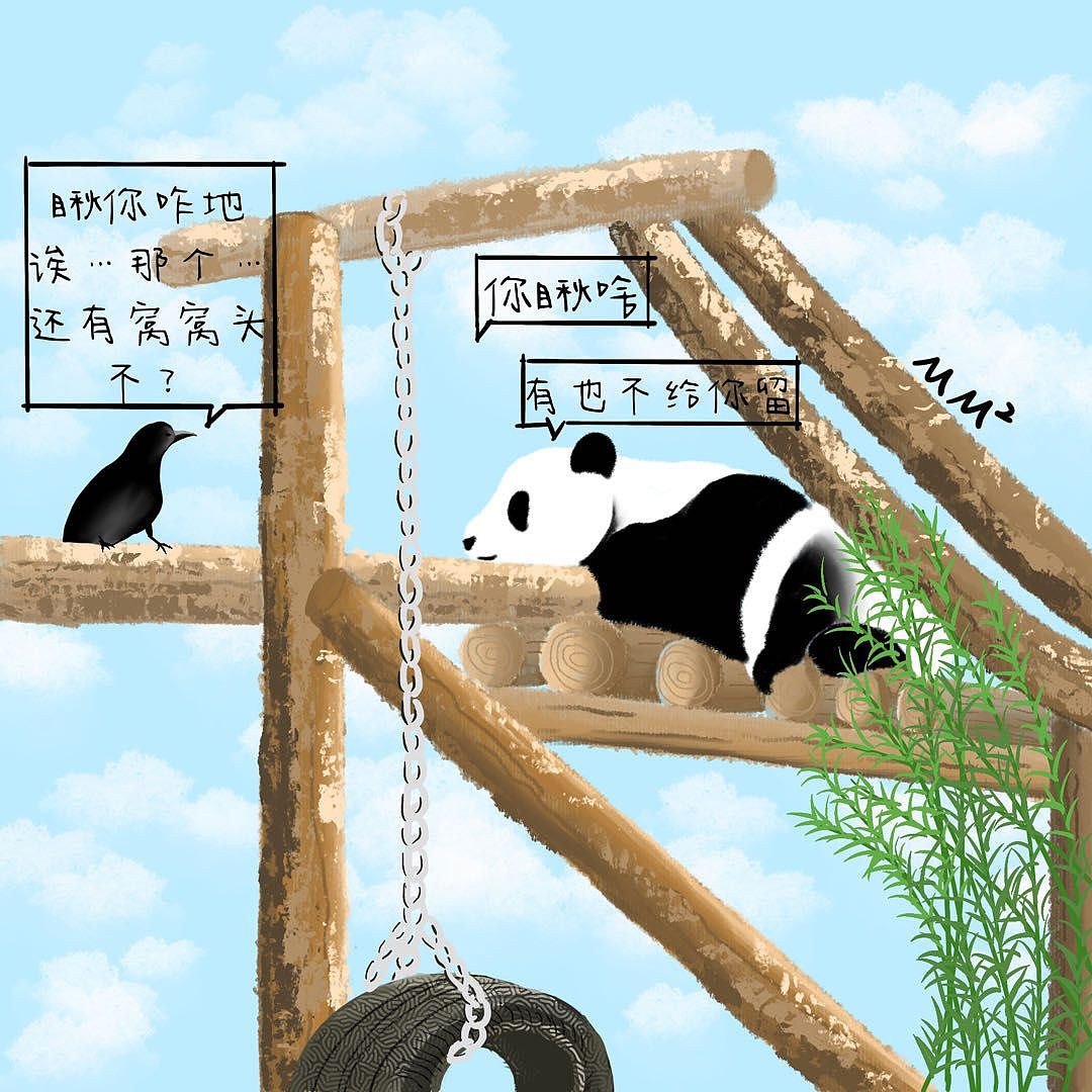 去看大熊猫们...