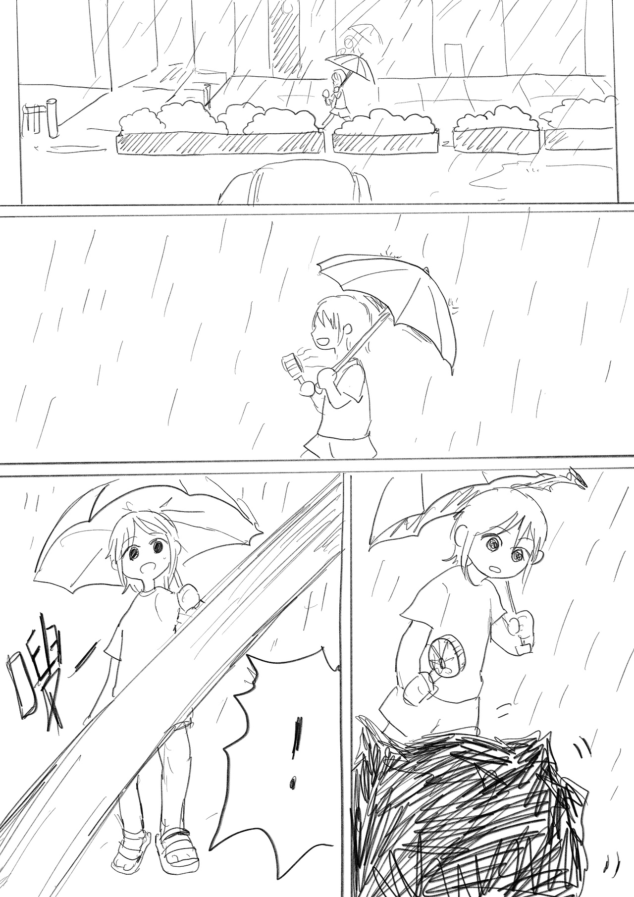 夏天、煤球和我的不舍