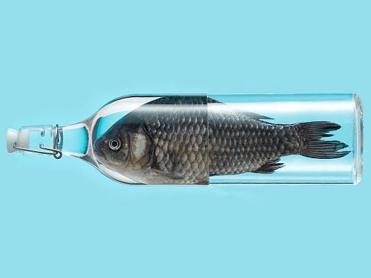 忙忙碌碌的寒寒露露