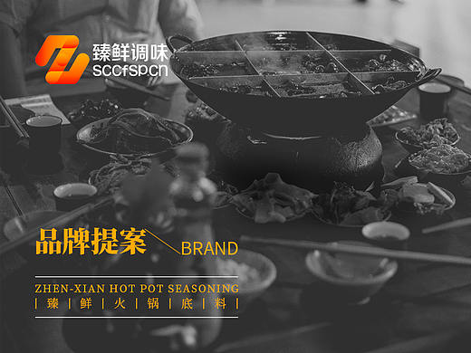 臻鲜火锅底料经营公司VIS