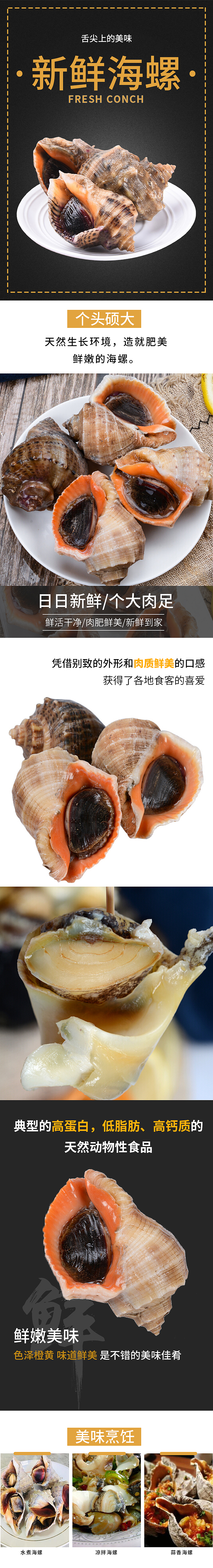 海螺详情页（图ZMjMyMzE3NzI4） - 电商 - 站酷设计师small贝贝酱原创素材 - 站酷ZCOOL